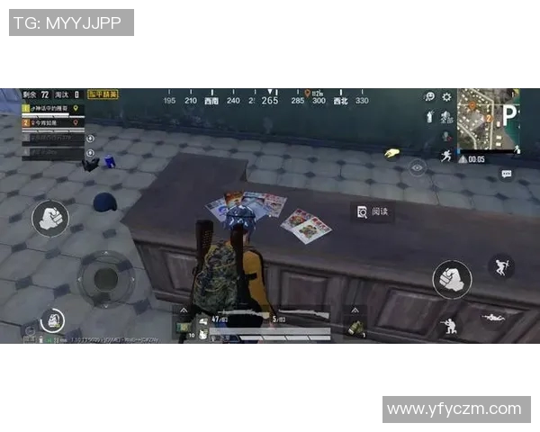 和平精英战队WE灵活战术解析与团队协作的深度探讨