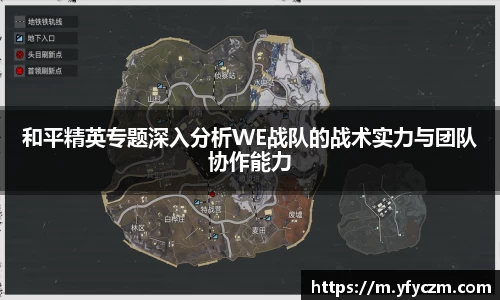 vsport体育官网入口