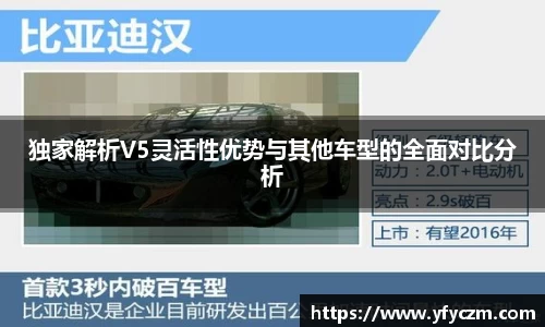 vsport体育官网入口