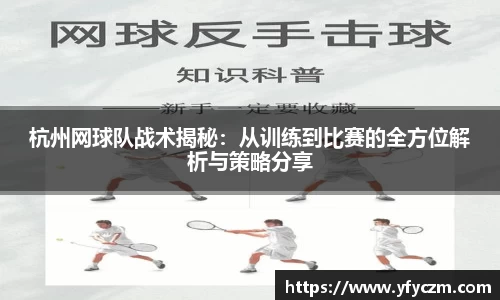 vsport体育官网入口