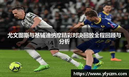 vsport体育官网入口