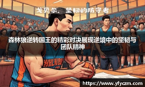 vsport体育官网入口