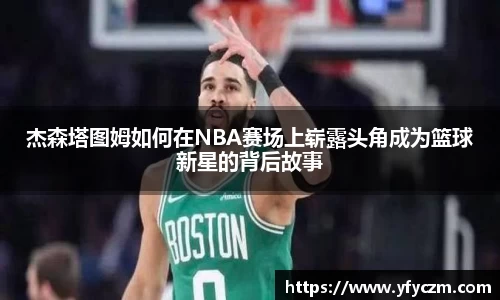 vsport体育官网入口