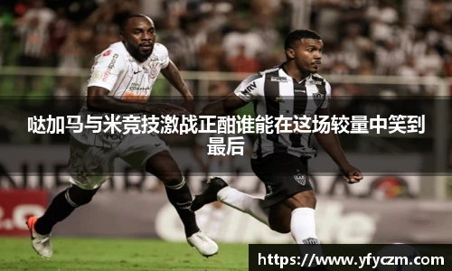 vsport体育官网入口