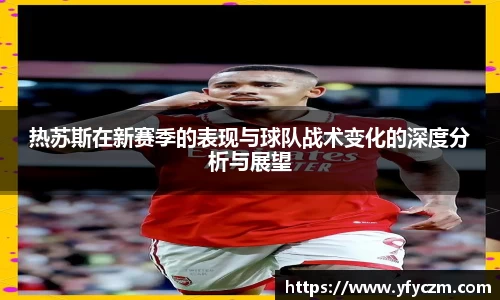 vsport体育官网入口