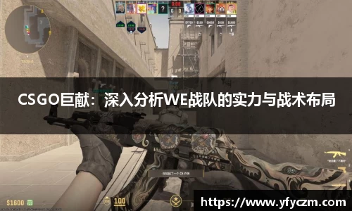 vsport体育官网入口